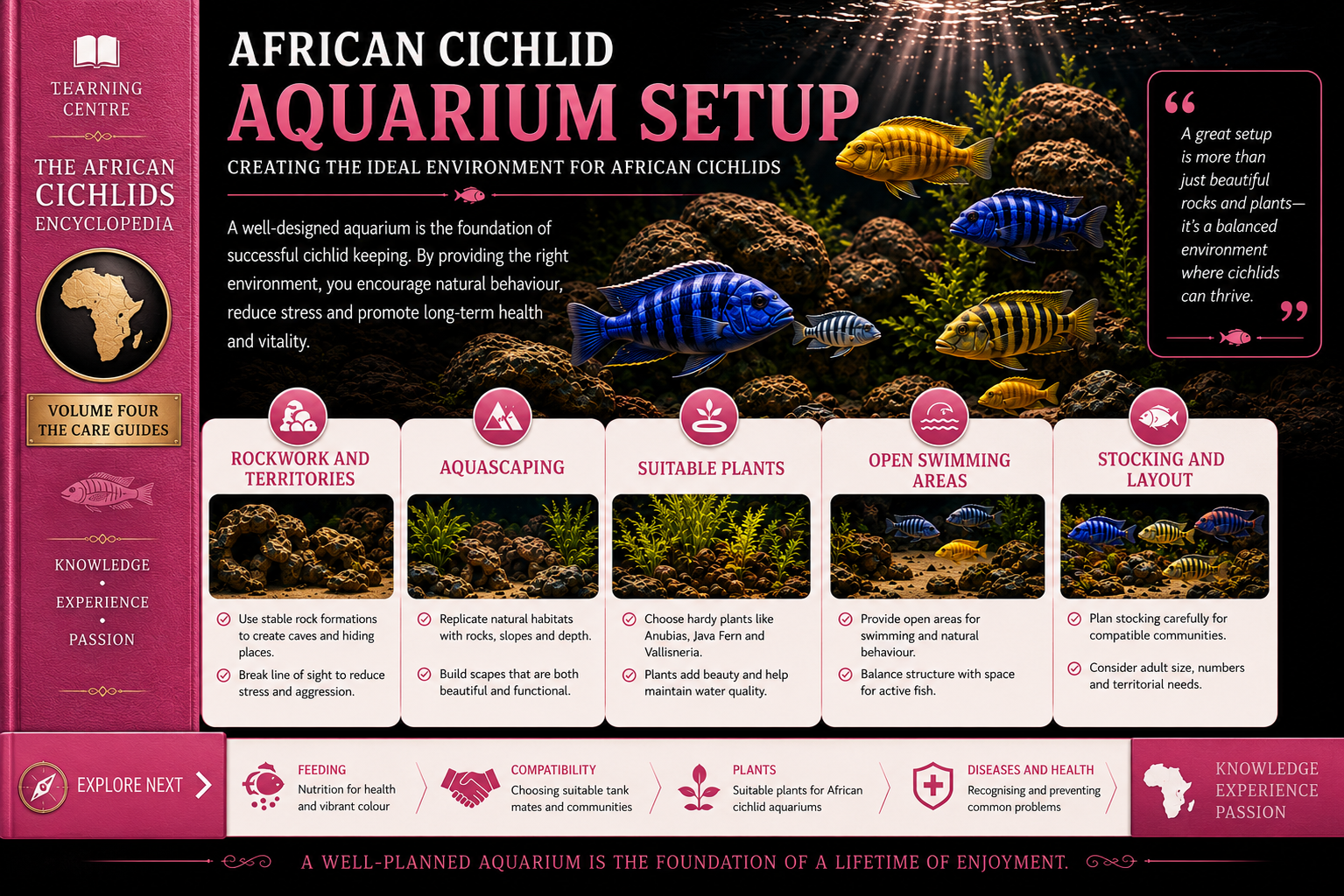 Aquarium Setup