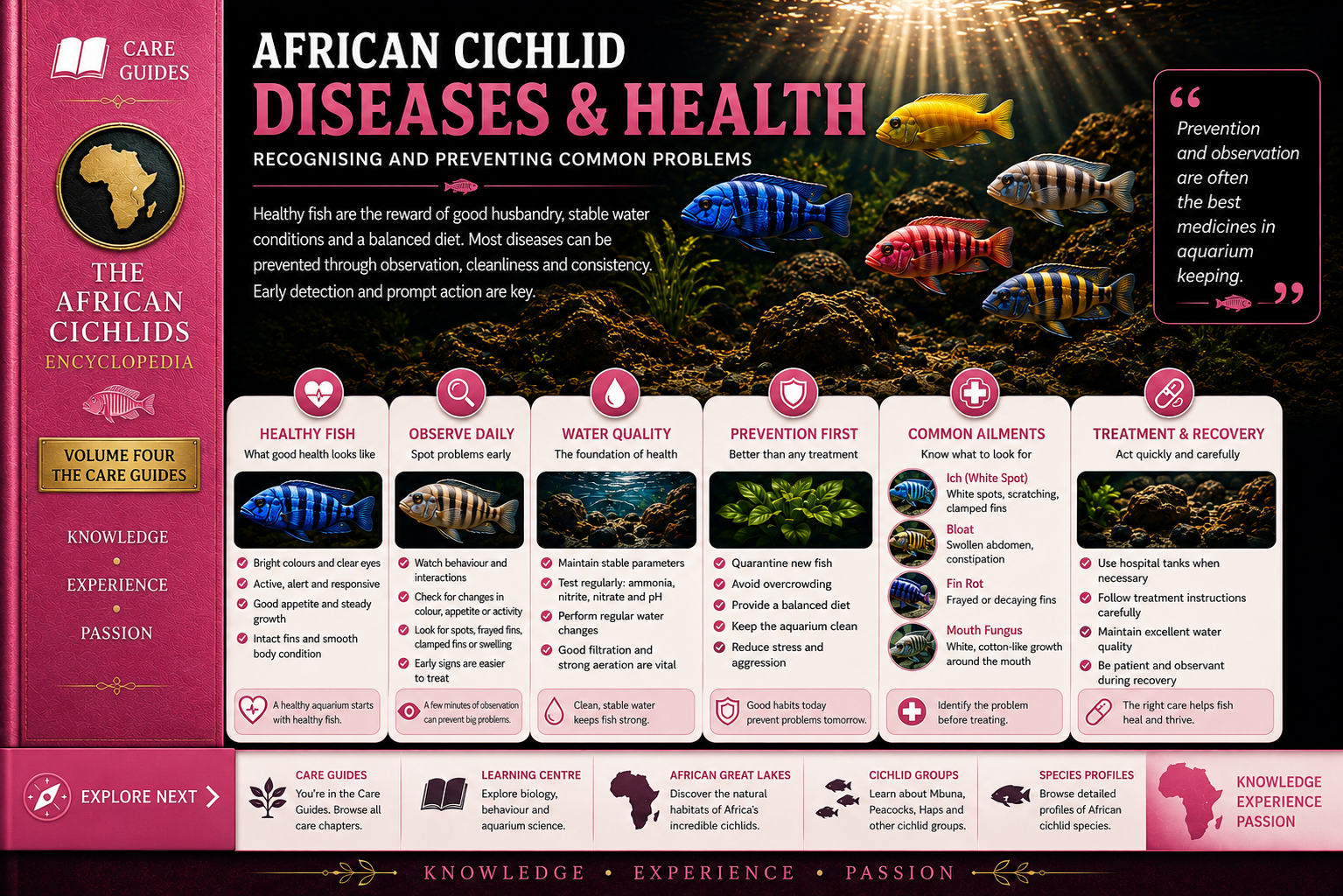 Cichlid Diseases & Health