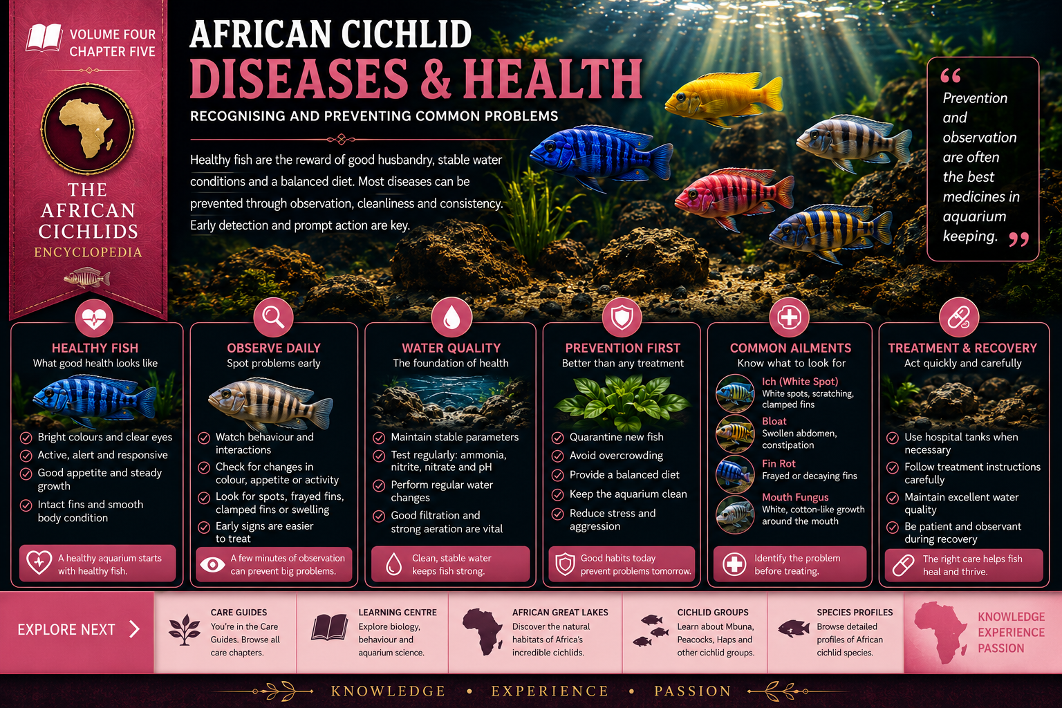Cichlid Diseases & Health