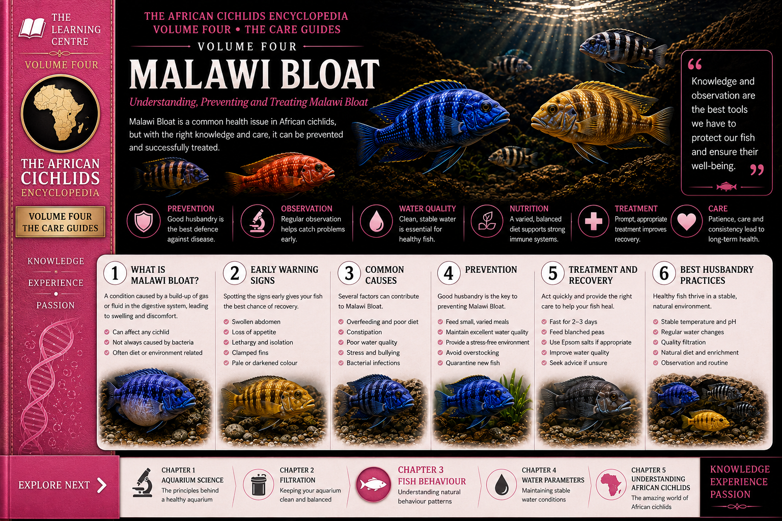 Malawi Bloat