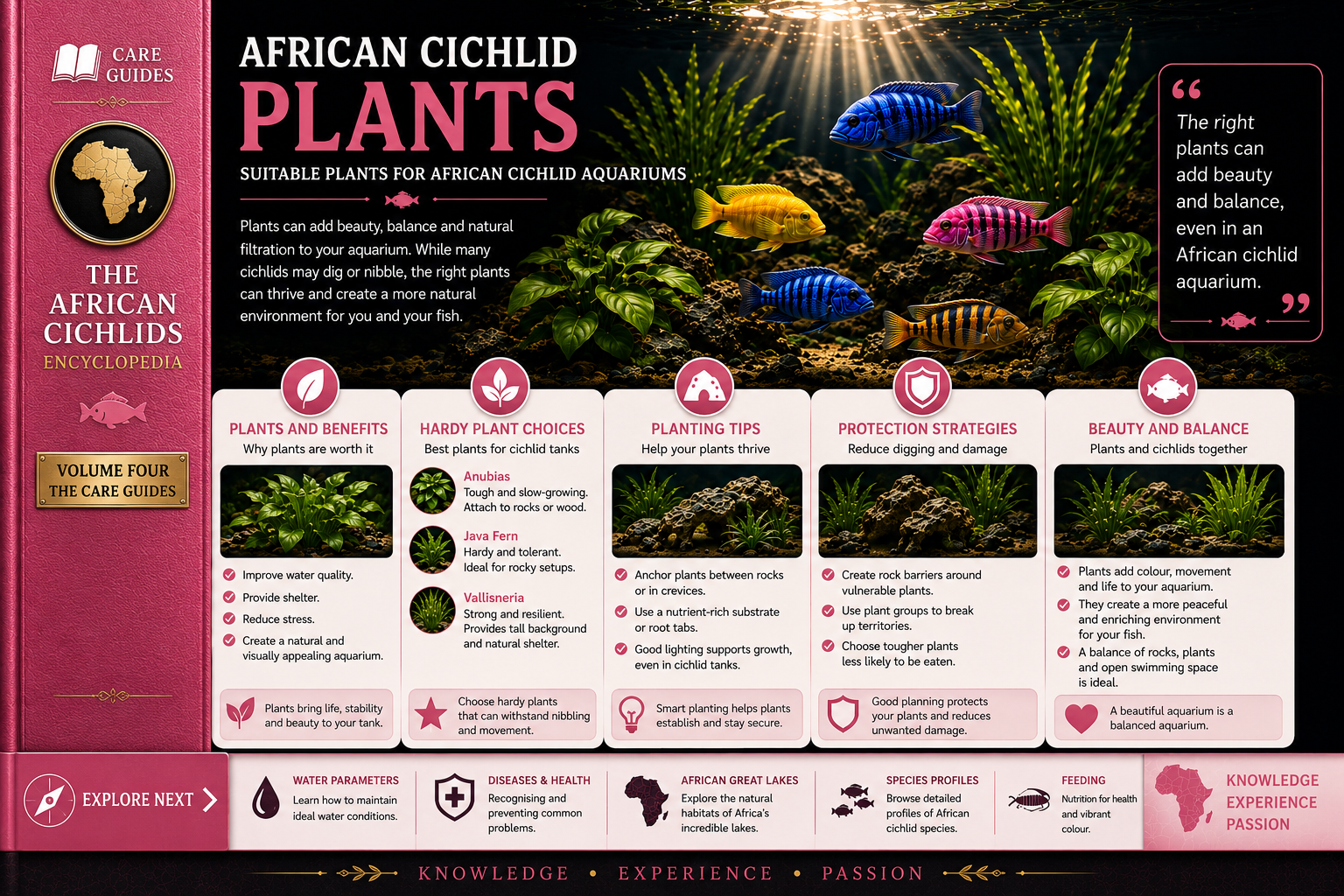 Plants for African Cichlid Tanks