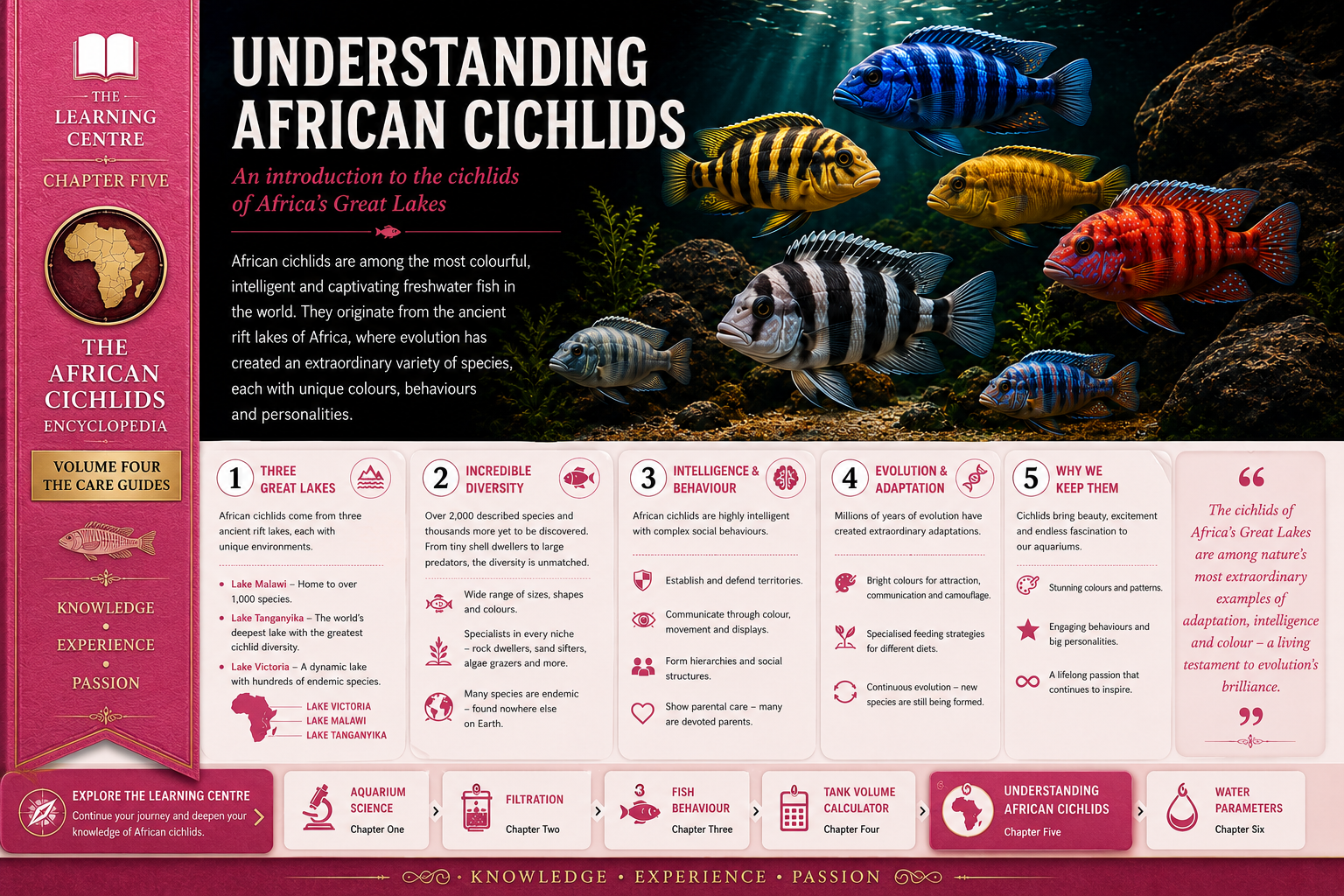 Understanding African Cichlids